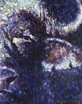 "Buffalo Face"