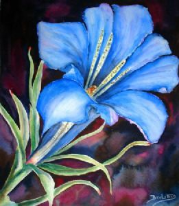 "Blue Lily"