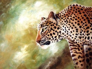 "Leopard Prowl"