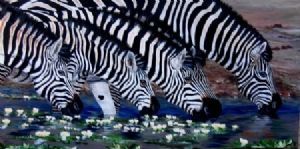 "Zebra at Waterhole"