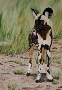 "Wild Dog"