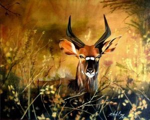 "Growing Up - Young Nyala"