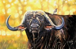 "Buffalo"