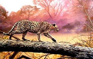 "On the Prowl"
