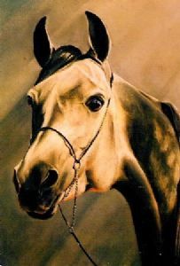 "Shari-Silic Akbar"