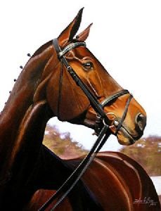 "Winterstar Paloma"