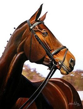 "Winterstar Paloma"