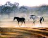 "Homeward Bound"