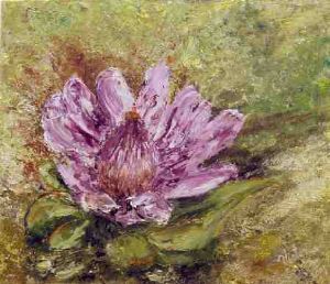 "Protea in Pink"