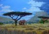 "African Landscape"
