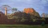 "Baobab Landscape"