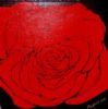 "Cadmium Red Rose"