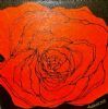 "Cadmium Orange Rose"