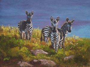 "Twillight Zebras"
