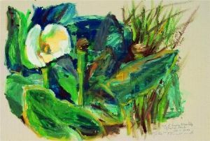 "Arums in the stream in Noordhoek"