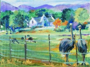 "Knorrhoek,Sir Lowry Pass Village"