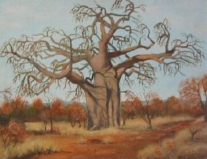 "Baobab Tree"