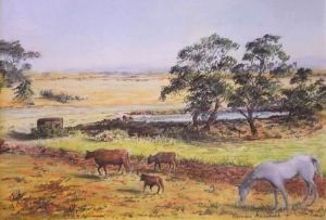 "Back to the Kraal"