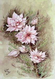 "Blushing Brides"
