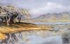 "Waterhole"