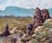 Karoo Road