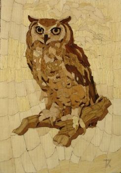 "Owl"