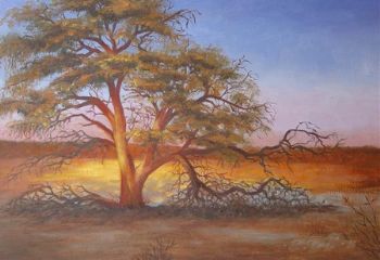 "Kahalari Sunset Tree"