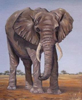 "Elephant Walk"