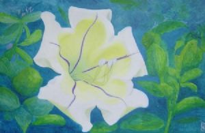 "Moon Flower"