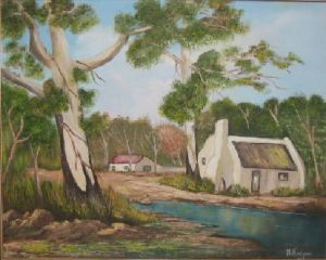 "Blue Gum tree on farm"