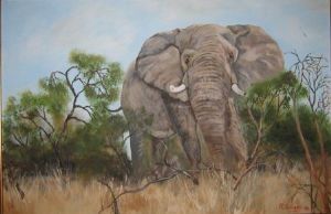"Big Elephant"