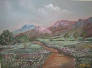 "Cosmos - Highveld area"