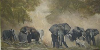 "Elephants in the Dust - Kenya"