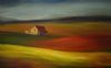 "Lonely Shed"