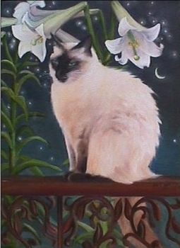 "Anna's Cat"