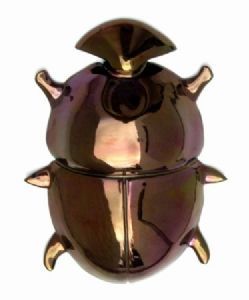 "Addo Flightless Dung Beetle"