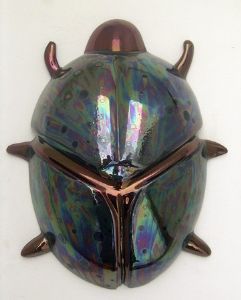 "Progoderus Rangifer Klug Beetle"