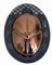 Progoderus Rangifer Klug Beetle 2