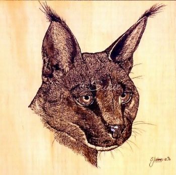 "Wood Burning, Caracal"