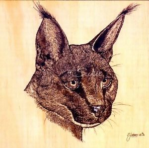 "Wood Burning, Caracal"