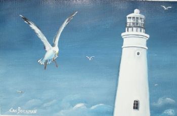"Lighthouse Cape St. Francis"