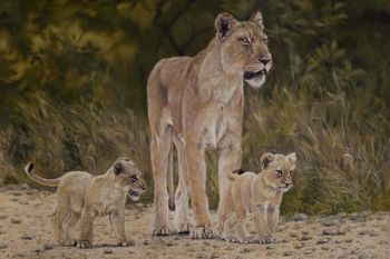 "Lioness And Cubs"