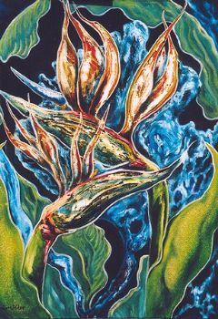 "Strelitzia Grandiphallae"