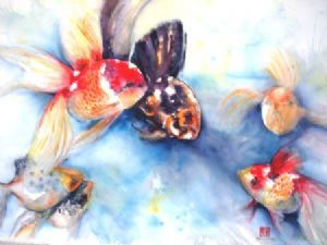 "Goldfish 1"