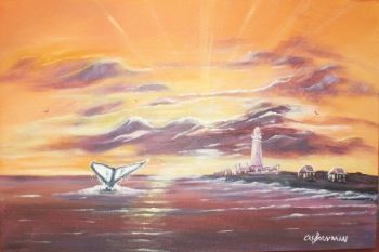 "Whale tailing in sunrise, Seal Point Lighthouse Cape St. Francis"