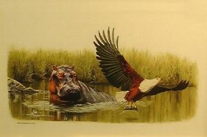 "Hippo & Fish Eagle"