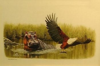 "Hippo & Fish Eagle"