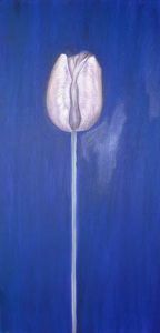 "White Tulip (Canvas 3 or 3)"