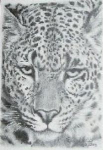 "Leopard Face"