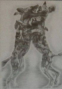 "Wild Dogs at Play"